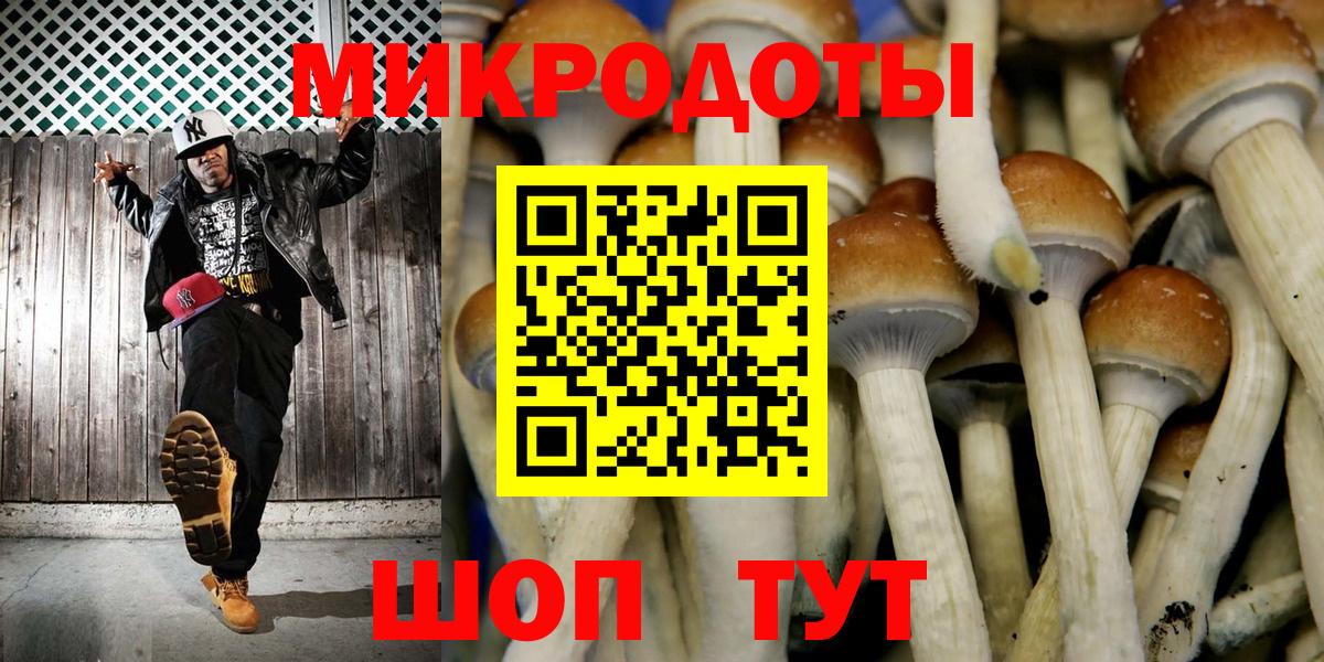 Псилоцибиновые грибы GOLDEN TEACHER  Вход с VPN  Псилоцибиновые грибы Psilocybe  Сибай 