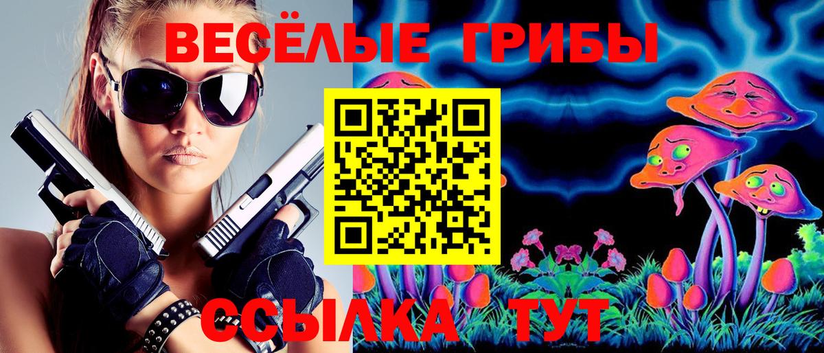 Галлюциногенные грибы Cubensis Сибай